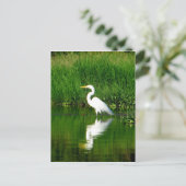 エグレト、リオ・オスクロ、ラゴ・イザバル、グアテマラ ポストカード (スタンド正面)