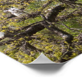 エグレート群 ポスター (角)