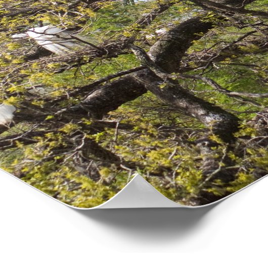 エグレート群 ポスター (角)