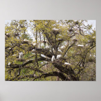 エグレート群 ポスター