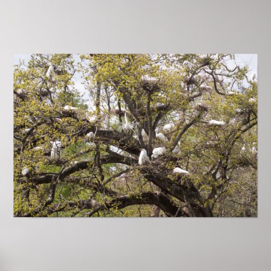 エグレート群 ポスター (正面)