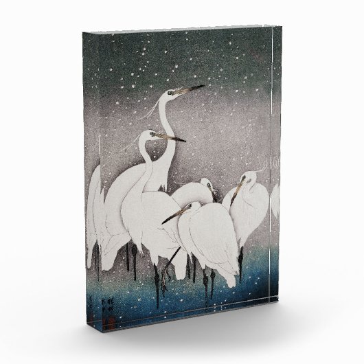 エグレ日本のツコソンクレーン冬の雪 フォトブロック (左)