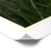 エグレ素晴らしットプリント ポスター (角)