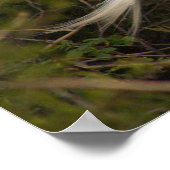 エグレ素晴らしット写真ポスター ポスター (角)