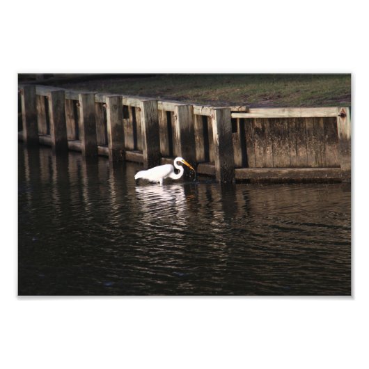 エグレ素晴らしット素晴らしキャッチ フォトプリント            (正面)