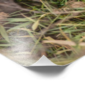 エグレ素晴らしット フォトプリント            (角)