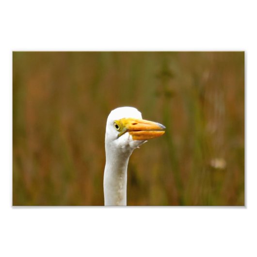 エグレ素晴らしット フォトプリント            (正面)