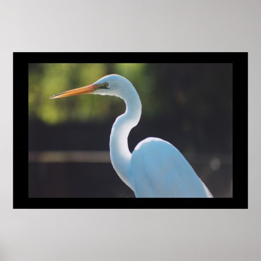 エグレ素晴らしット ポスター (正面)