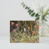 エグレ素晴らしット ポストカード (スタンド正面)