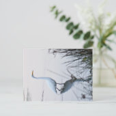 エグレ素晴らしット ポストカード (スタンド正面)