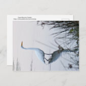 エグレ素晴らしット ポストカード (正面/裏面)