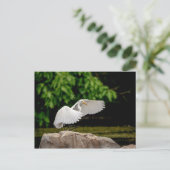 エグレ素晴らしット ポストカード (スタンド正面)