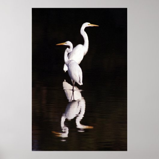 エグレ素晴らしツ ポスター (正面)