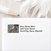 エグレ素晴らしト（アルデア・アルバ） OBX外銀あいさつ ラベル (インサイチュ)