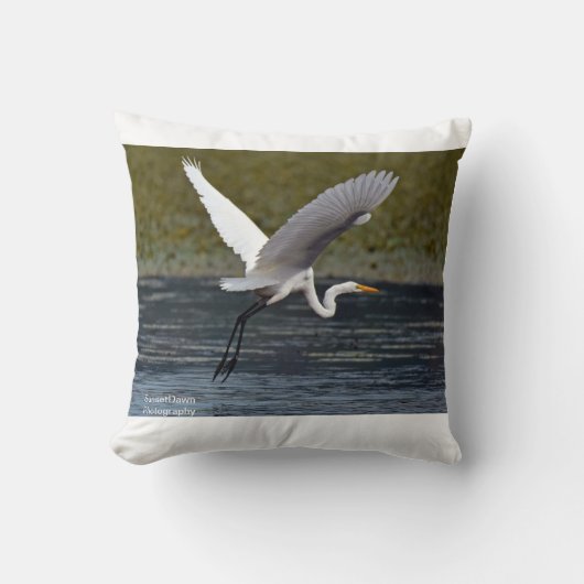 エグレ素晴らしト クッション (正面)