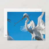 エグレ素晴らしト ポストカード (正面/裏面)