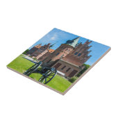 エゲスコフ城砲 タイル (側面)