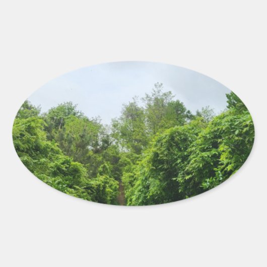 エコフレンドリー製品 楕円形シール (正面)