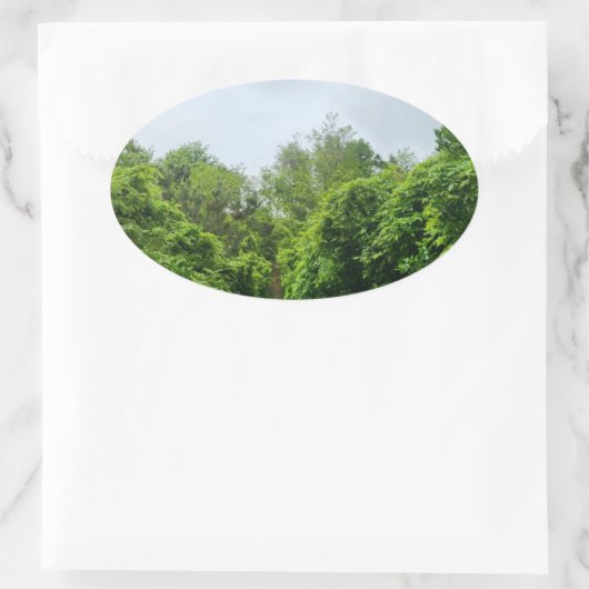 エコフレンドリー製品 楕円形シール (バッグ)