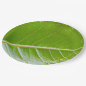 エコフレンドリー – グリーンリーフ9"円形 ペーパープレート (アングル)