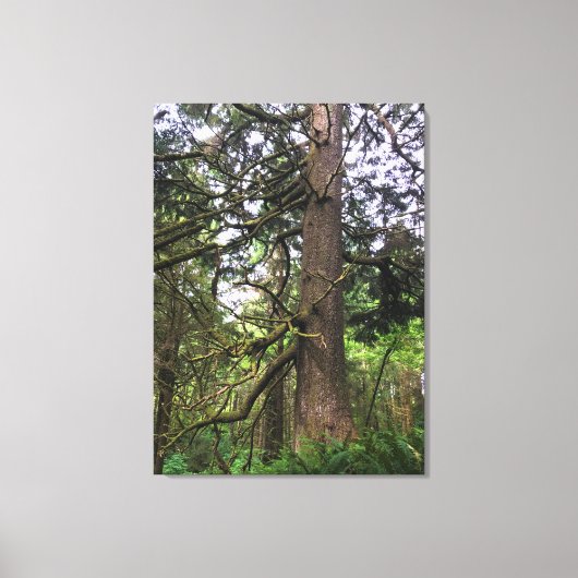 エコラ州パーク、オレゴン、キャノンビーチ キャンバスプリント (正面)