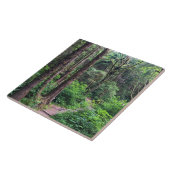 エコラ州パーク、オレゴン、キャノンビーチ タイル (側面)