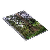 エコラ州パーク、オレゴン、キャノンビーチ ノートブック (右側)