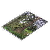 エコラ州パーク、オレゴン、キャノンビーチ ノートブック (左側)