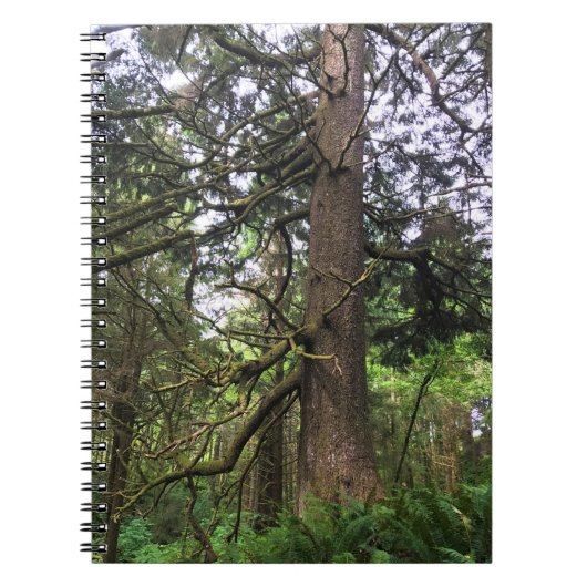 エコラ州パーク、オレゴン、キャノンビーチ ノートブック (正面)