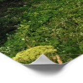 エコラ州パーク、オレゴン、キャノンビーチ ポスター (角)