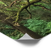 エコラ州パーク、オレゴン、キャノンビーチ ポスター (角)