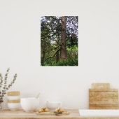 エコラ州パーク、オレゴン、キャノンビーチ ポスター (キッチン)