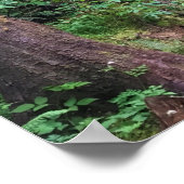 エコラ州パーク、オレゴン、キャノンビーチ ポスター (角)