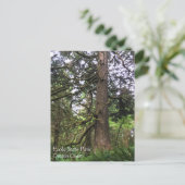 エコラ州パーク、オレゴン、キャノンビーチ ポストカード (スタンド正面)