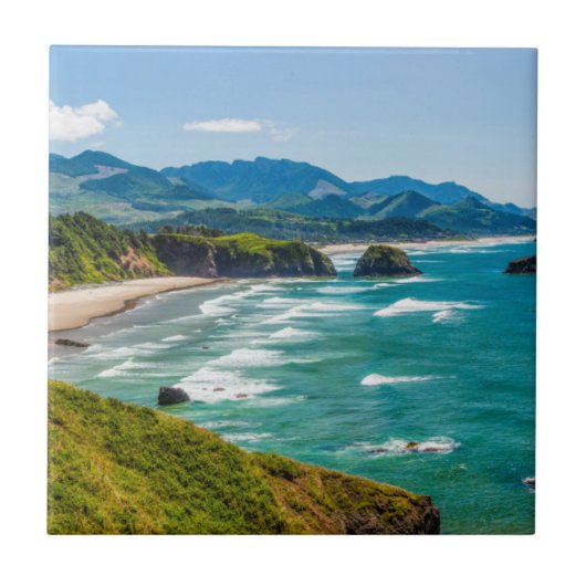 エコラ州パーク、オレゴン。クレセントのパノラマ タイル (正面)