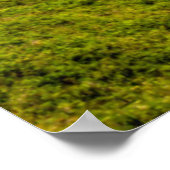 エコラ州パーク，オレゴン。三日月のパノラマ ポスター (角)