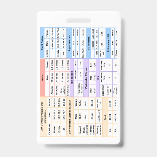 エコーバッジクイックリファレンスガイド バッジ (表面)