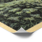 エコーパーク内のシャディリトリート ポスター (角)