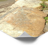 エコーレイクビーチアットアカディア国立公園 ポスター (角)