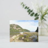 エコーレイクビーチアットアカディア国立公園 ポストカード (スタンド正面)