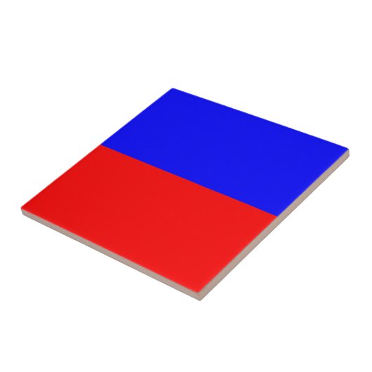 エコー タイル (側面)