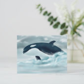 エコー(J42)はがき ポストカード (スタンド正面)