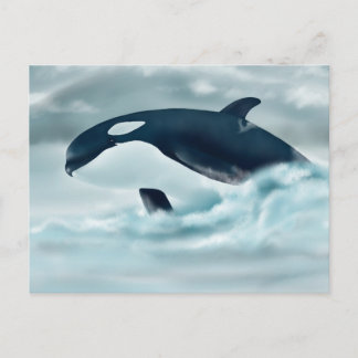 エコー(J42)はがき ポストカード