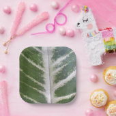 エコ調和7インチスクエア紙プレート ペーパープレート (パーティー)