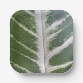 エコ調和7インチスクエア紙プレート ペーパープレート