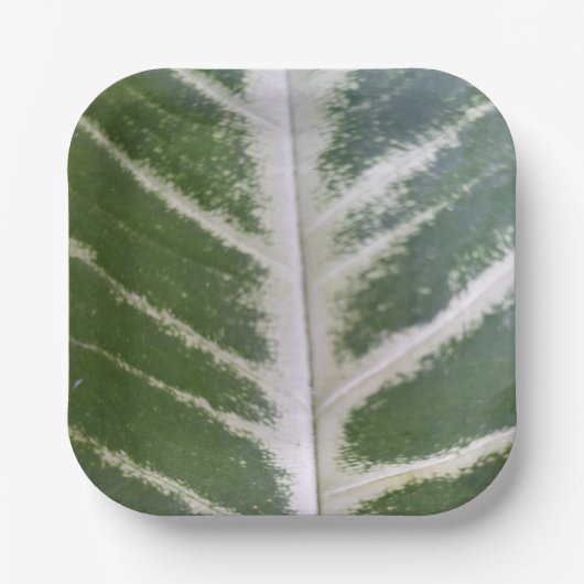 エコ調和7インチスクエア紙プレート ペーパープレート (正面)