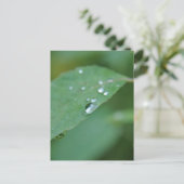 エコ ポストカード (スタンド正面)