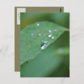 エコ ポストカード (正面/裏面)