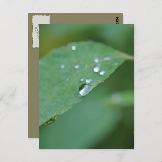 エコ ポストカード (正面/裏面)