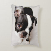 エジソンボストンテリアの子犬 アクセントクッション (裏面(縦))